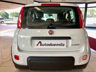 FIAT Panda usata, con Antifurto