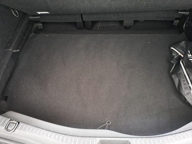 RENAULT Scenic usata, con ESP