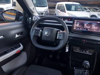 CITROEN C3 usata, con Sospensioni pneumatiche