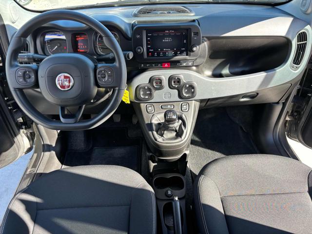FIAT Panda Cross usata, con Controllo automatico clima