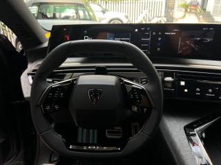 PEUGEOT 3008 usata 59