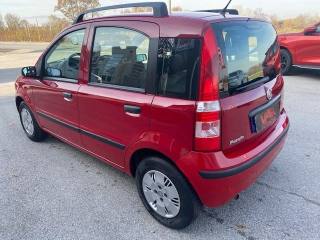 FIAT Panda usata, con Luce d