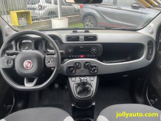 FIAT Panda usata 22