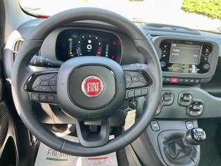 FIAT Panda usata, con USB