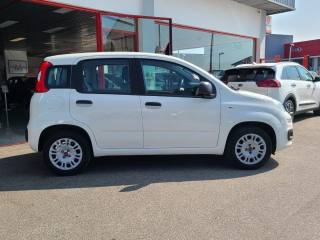 FIAT Panda usata, con Servosterzo