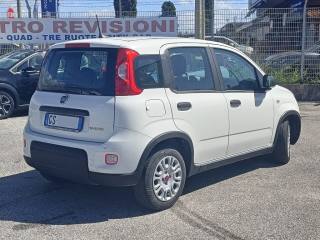 FIAT Panda usata, con Controllo trazione