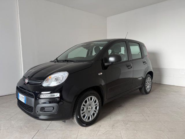 FIAT Pandina usata 14