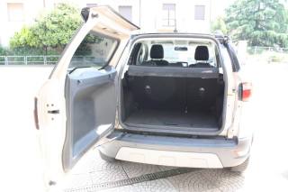 FORD EcoSport usata, con Bracciolo