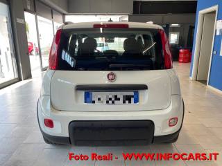 FIAT Panda usata, con Controllo trazione