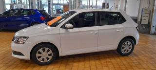 SKODA Fabia usata, con ESP