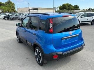 FIAT Panda Cross usata, con ESP