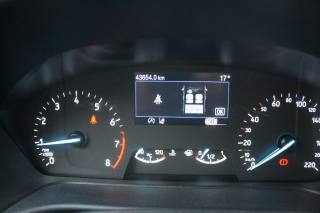 FORD Puma usata, con Cruise Control