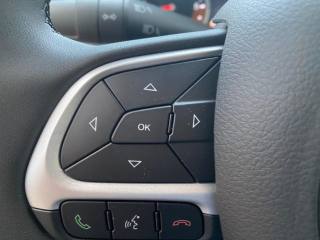 JEEP Renegade usata, con Cruise Control