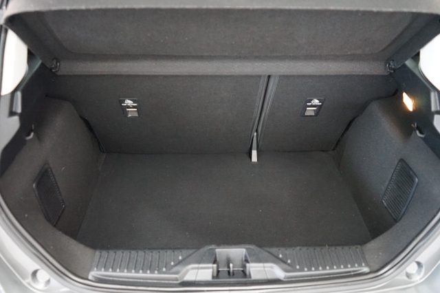 FORD Fiesta usata 40