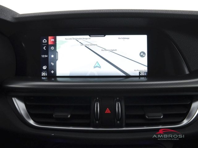 ALFA ROMEO Stelvio usata 14