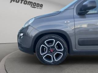 FIAT Panda usata 18