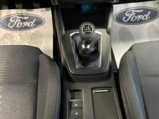 FORD Focus usata, con Servosterzo