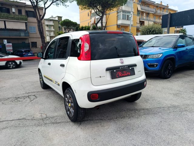 FIAT Panda usata, con Alzacristalli elettrici