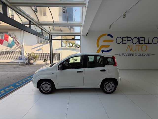 FIAT Panda usata, con Airbag Passeggero