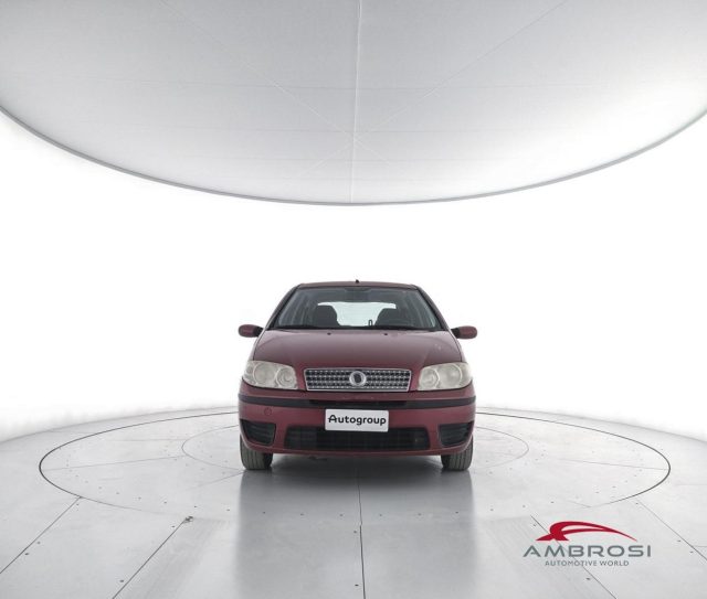 FIAT Punto usata 4
