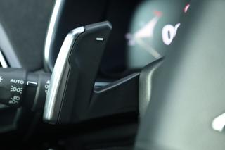 DS AUTOMOBILES DS 7 usata, con Vetri oscurati