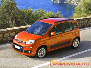 FIAT New Panda usata 22