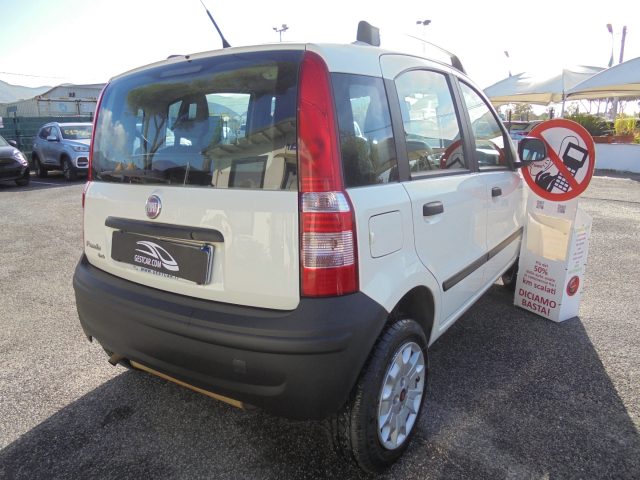 FIAT Panda usata 12