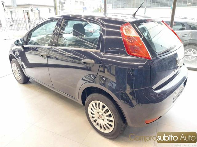 FIAT Punto usata 14