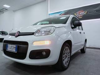 FIAT Panda usata 25