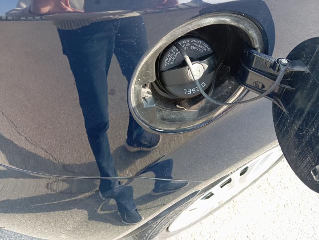 FIAT Punto usata 25