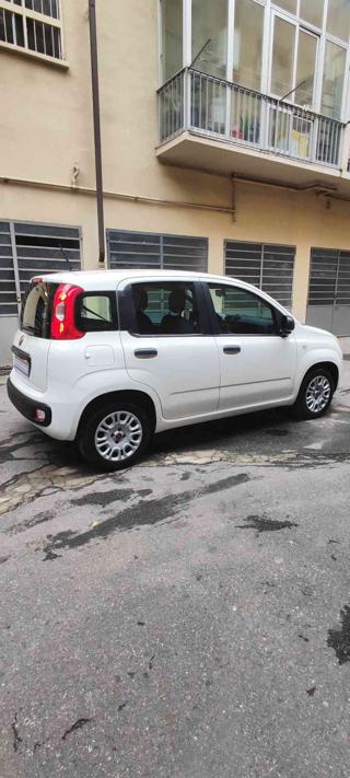 FIAT Panda usata, con Airbag Passeggero