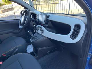 FIAT Panda usata, con Cruise Control