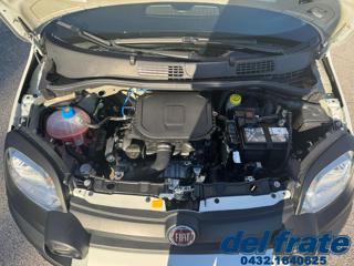 FIAT Panda Cross usata, con Immobilizzatore elettronico