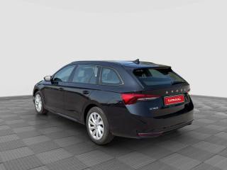 SKODA Octavia usata 2