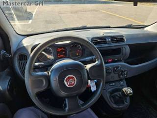 FIAT Panda usata 14