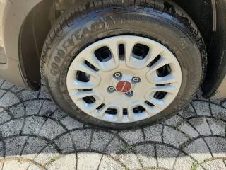 FIAT Panda usata, con Alzacristalli elettrici