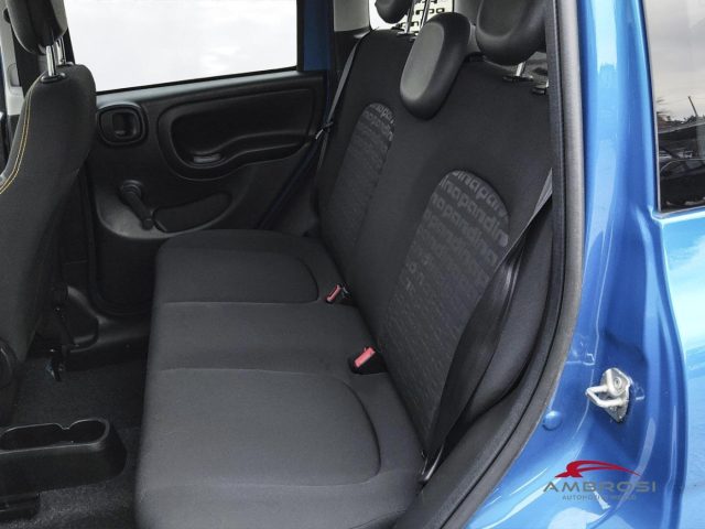 FIAT Panda usata 10
