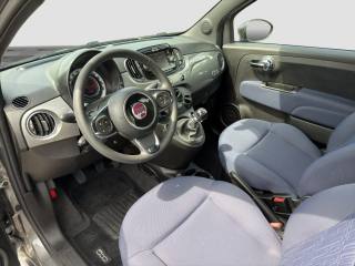 FIAT 500 usata 8