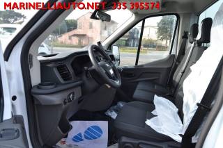 FORD Transit usata 17