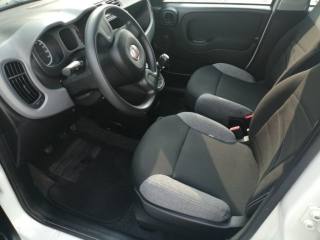 FIAT Panda usata, con Immobilizzatore elettronico