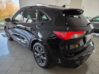 FORD Kuga usata, con Fendinebbia