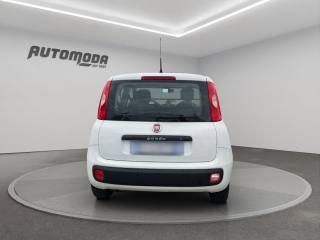 FIAT Panda usata, con Controllo trazione