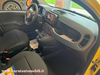 FIAT Panda usata, con Servosterzo