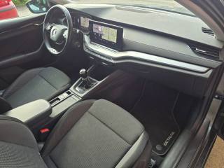 SKODA Octavia usata 113