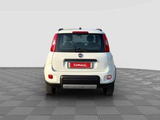 FIAT Panda usata 3