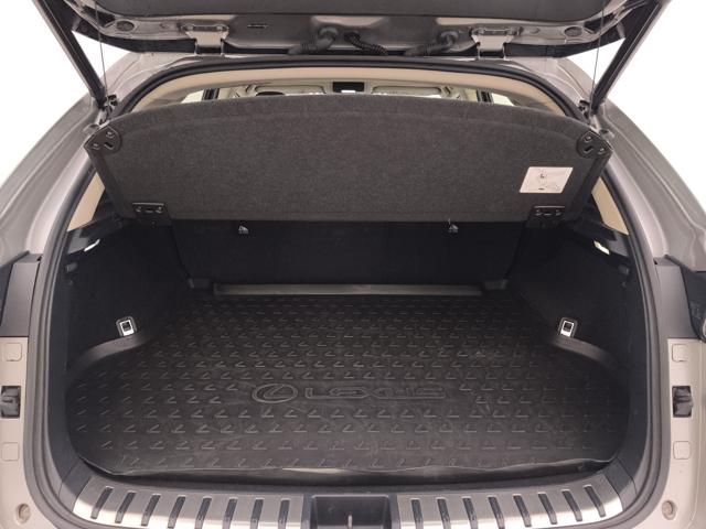 LEXUS NX 300h usata, con Leve al volante