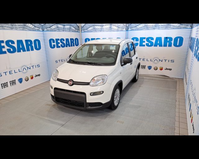 FIAT New Panda usata, con Airbag laterali