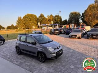 FIAT Panda usata, con Alzacristalli elettrici