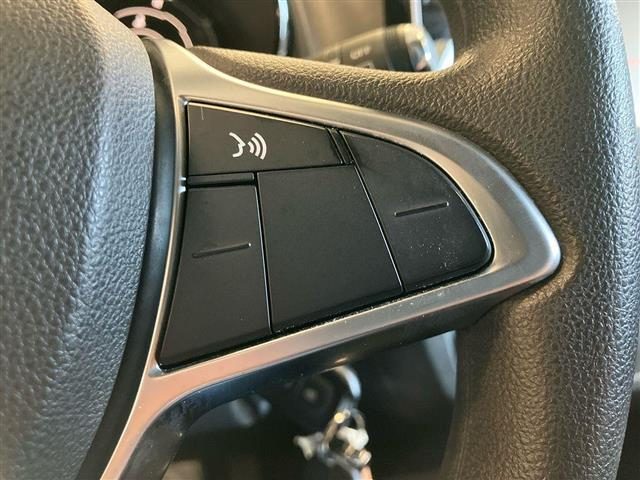 DACIA Spring usata 17