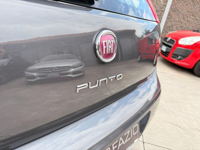 FIAT Punto usata, con Controllo automatico clima